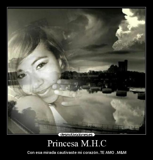 carteles smd desmotivaciones