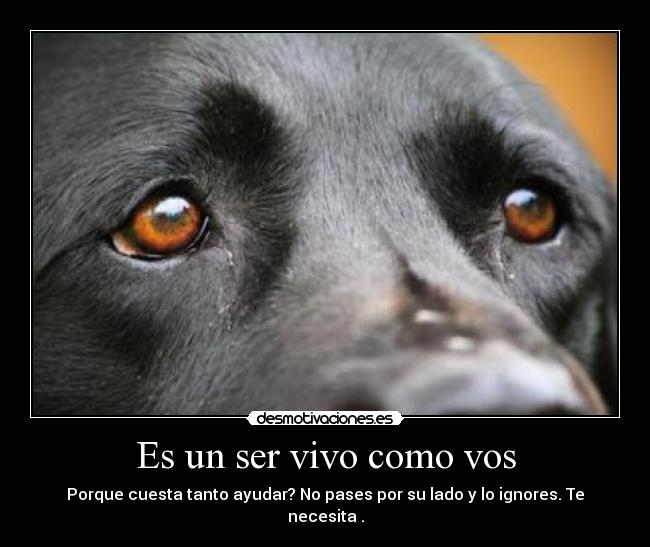 carteles ayudemosles desmotivaciones