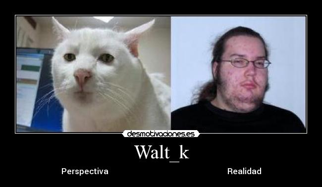 Walt_k - Perspectiva                                                            Realidad