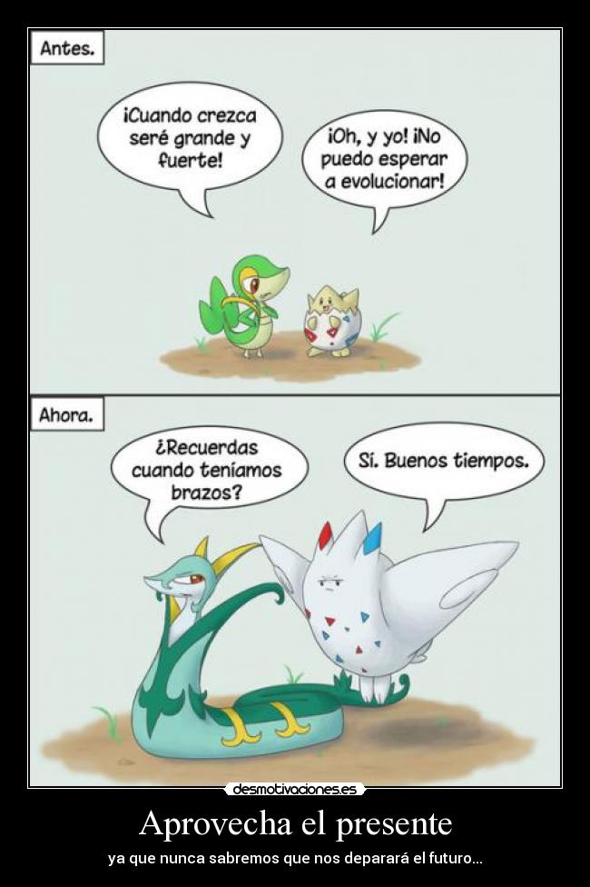 Aprovecha el presente - ya que nunca sabremos que nos deparará el futuro...