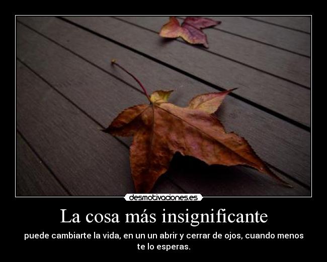 La cosa más insignificante - 