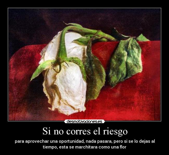 Si no corres el riesgo -