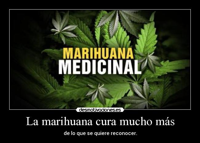 La marihuana cura mucho más - de lo que se quiere reconocer.