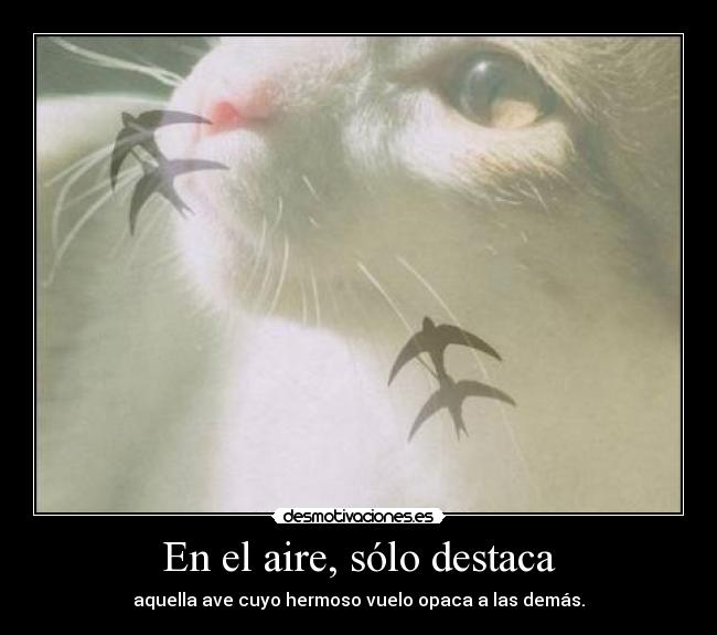 En el aire, sólo destaca - aquella ave cuyo hermoso vuelo opaca a las demás.