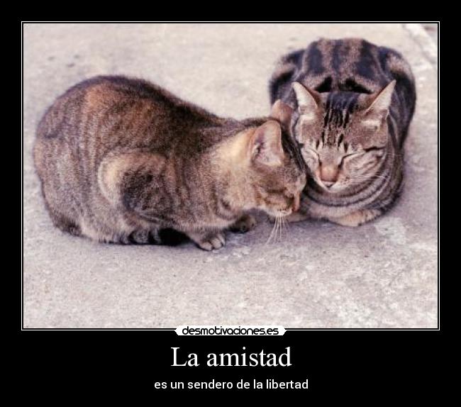 La amistad - es un sendero de la libertad