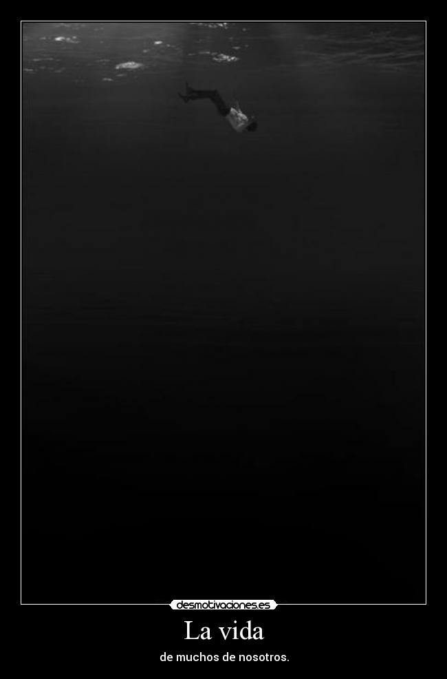 La vida - 