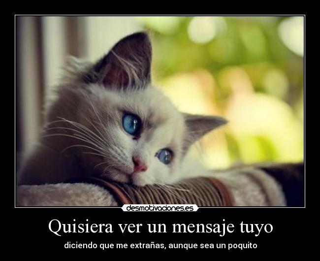 Quisiera ver un mensaje tuyo - 
