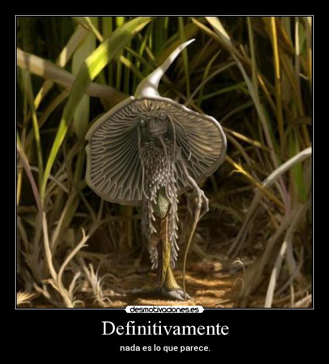Definitivamente - 