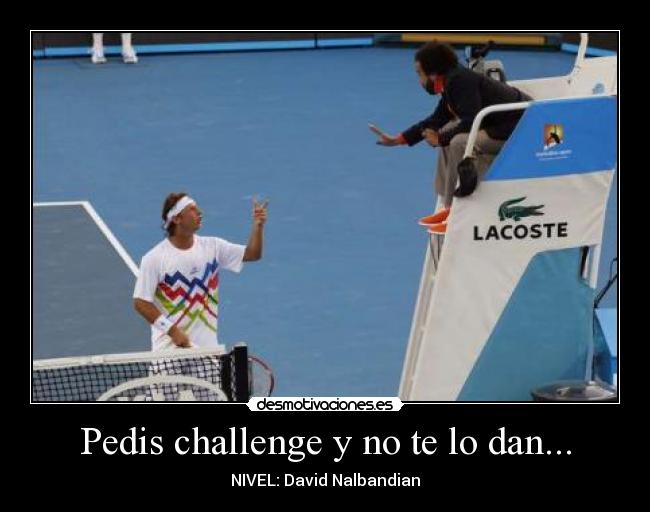 Pedis challenge y no te lo dan... - NIVEL: David Nalbandian