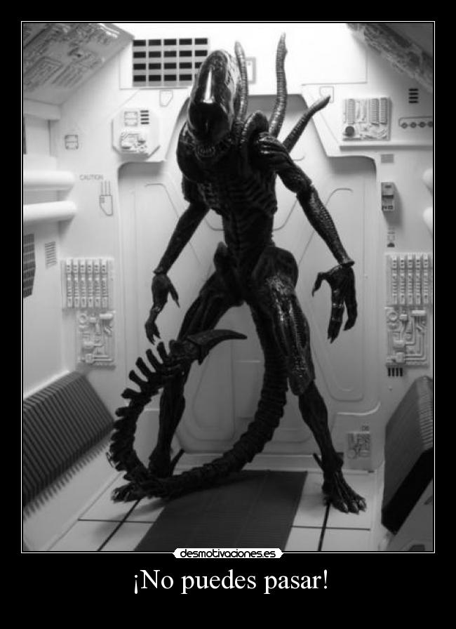 ¡No puedes pasar! - 