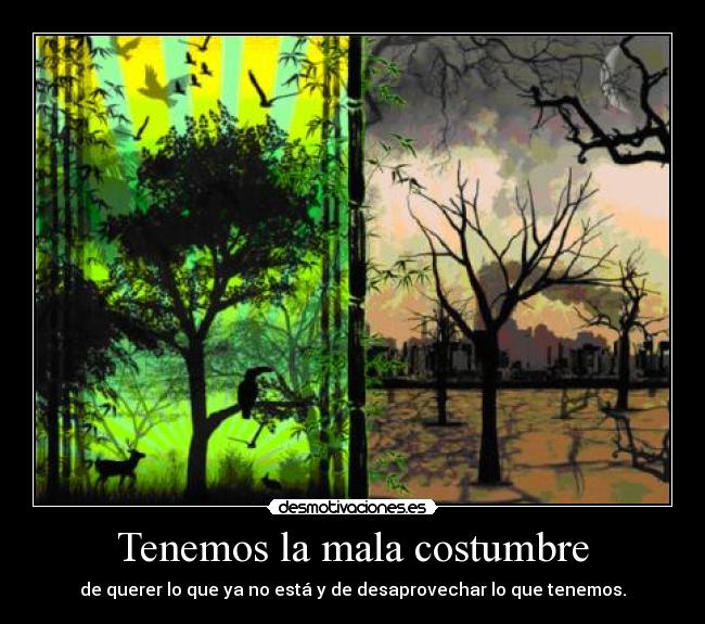 Tenemos la mala costumbre - 