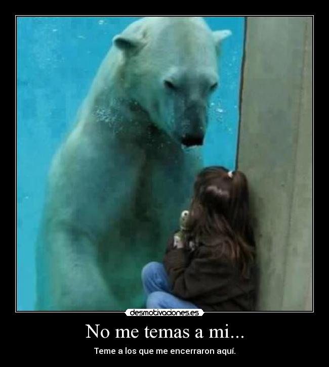No me temas a mi... -