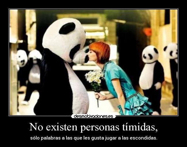 No existen personas tímidas, -