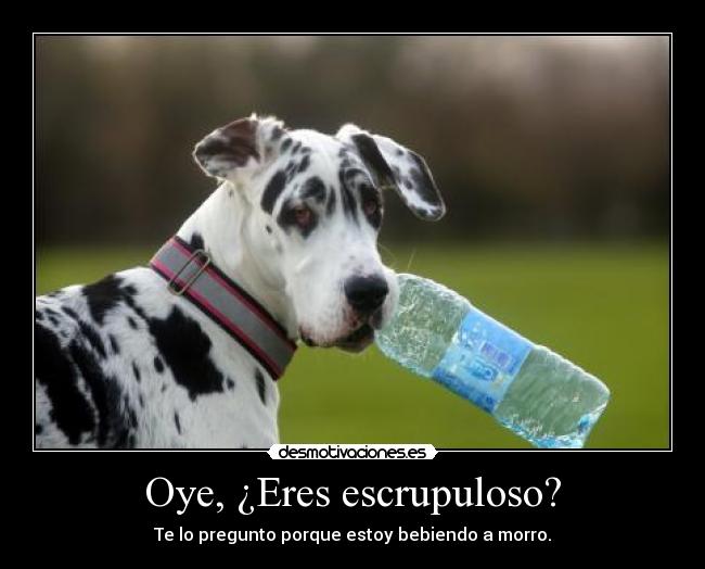Oye, ¿Eres escrupuloso? - 