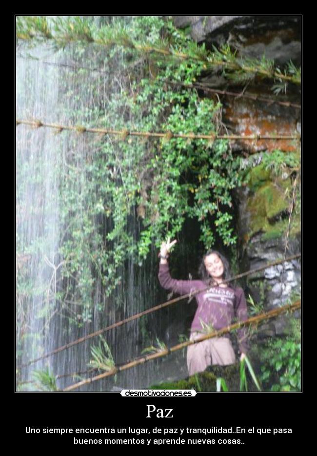 carteles paz desmotivaciones