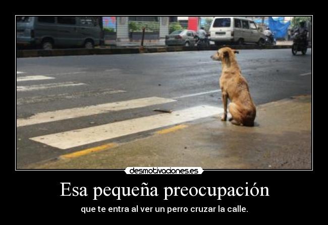 Esa pequeña preocupación - 