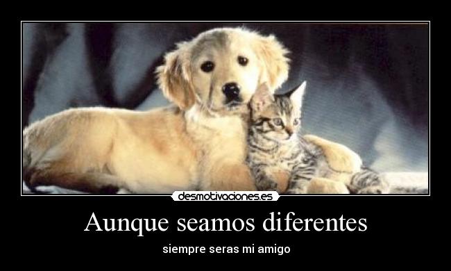 Aunque seamos diferentes -