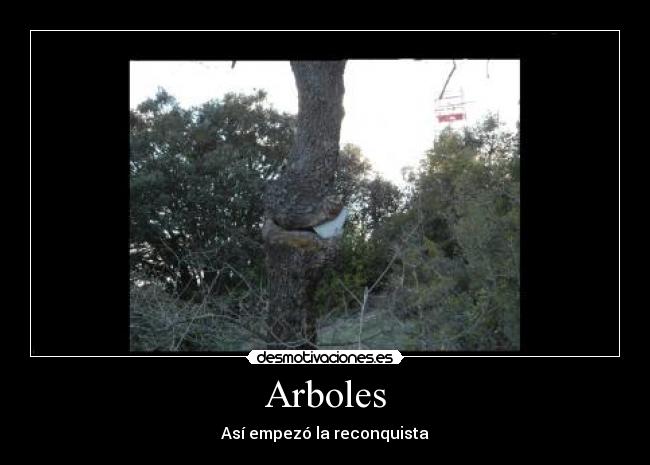 Arboles - Así empezó la reconquista
