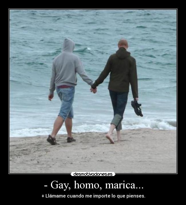 - Gay, homo, marica... -