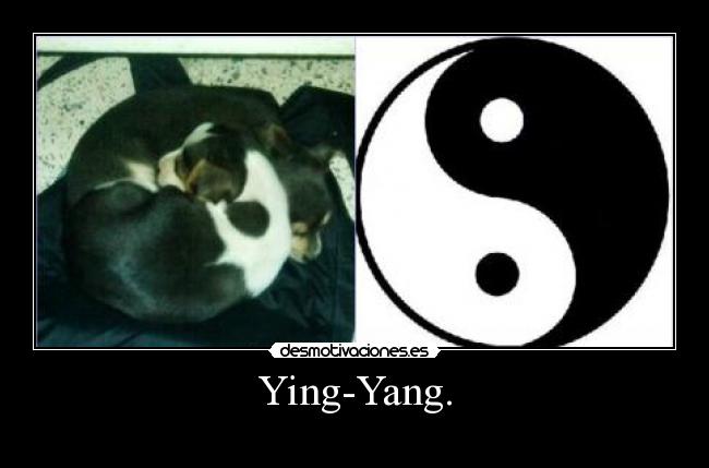 Ying-Yang. -