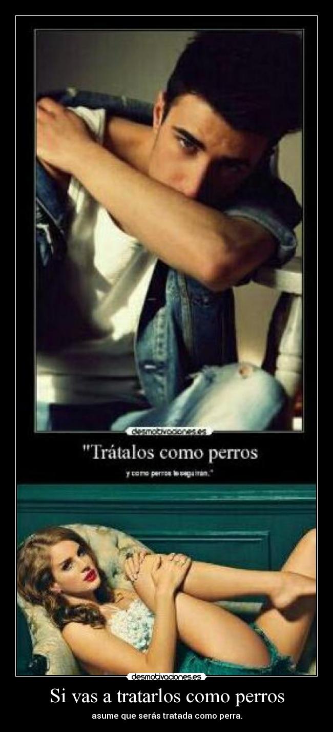 Si vas a tratarlos como perros -