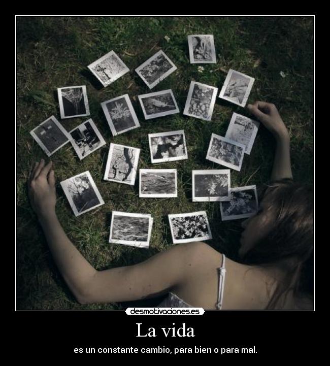 La vida -