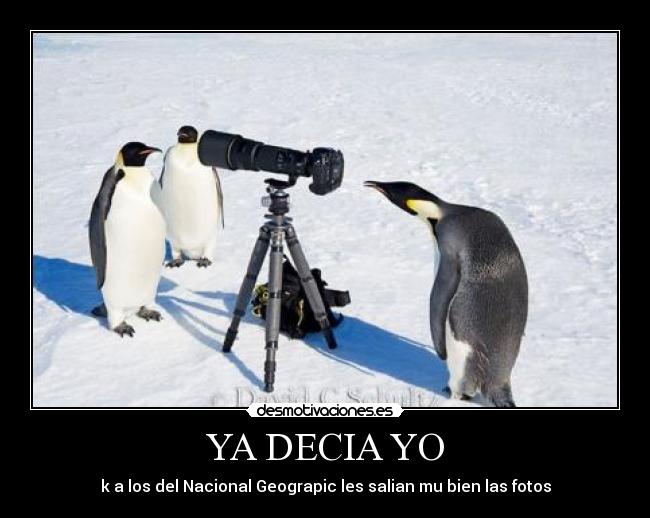 YA DECIA YO - k a los del Nacional Geograpic les salian mu bien las fotos