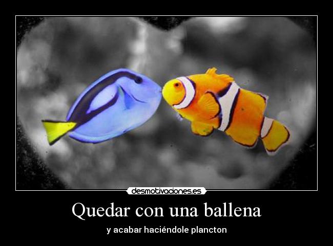 Quedar con una ballena - 