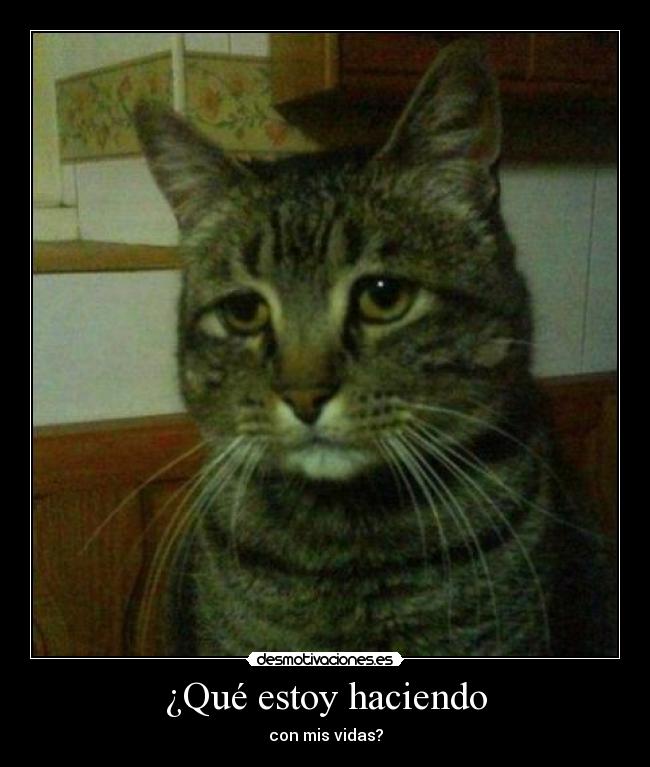 carteles tomaquetoma fuente iraffiruse desmotivaciones