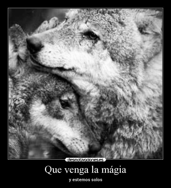 Que venga la mágia - 