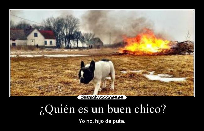 ¿Quién es un buen chico? - 