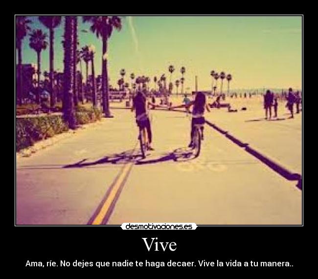 Vive - 
