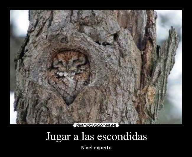 carteles escondido desmotivaciones