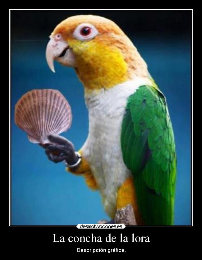 La concha de la lora - Descripción gráfica.
