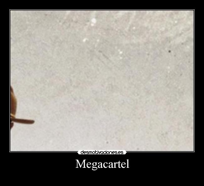 Megacartel -