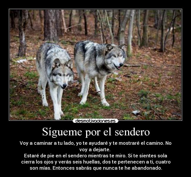 carteles malaquita seth desmotivaciones