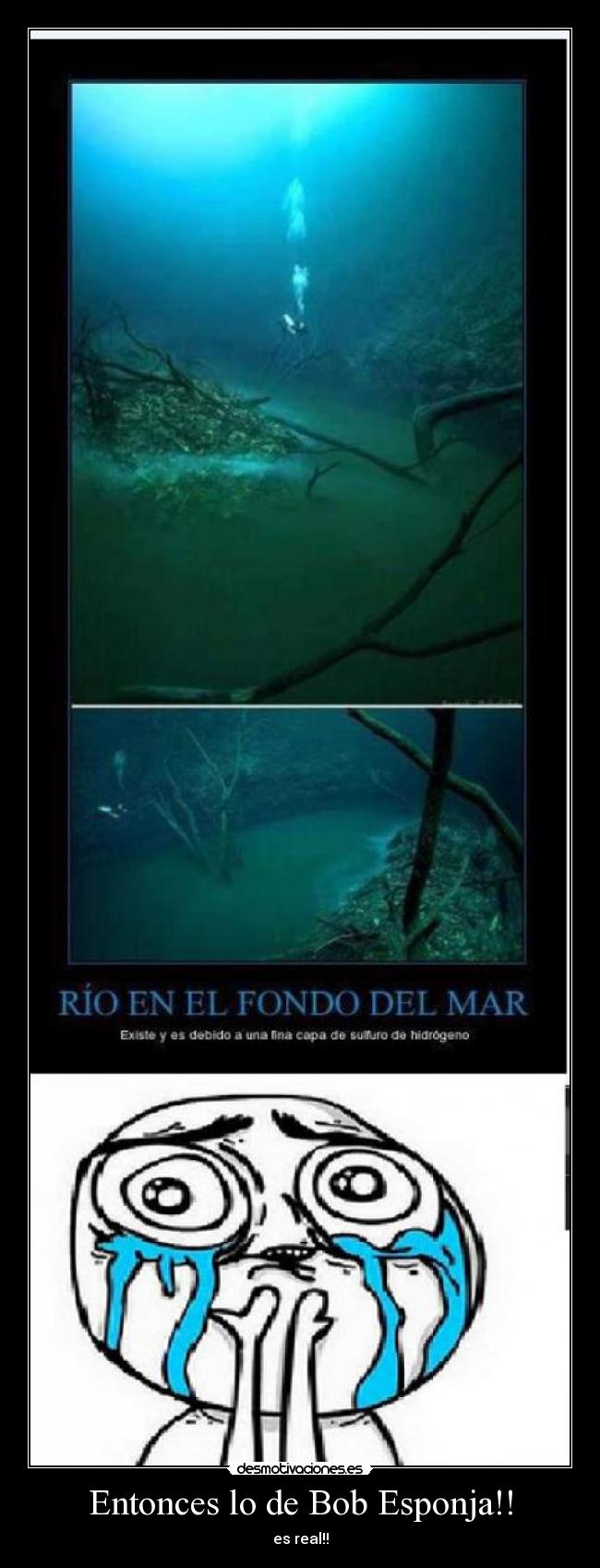 Entonces lo de Bob Esponja!! - 