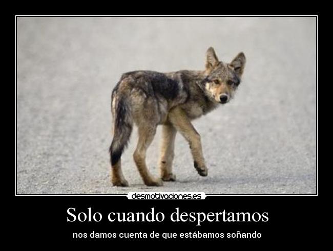 Solo cuando despertamos - 