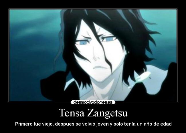 Tensa Zangetsu - 