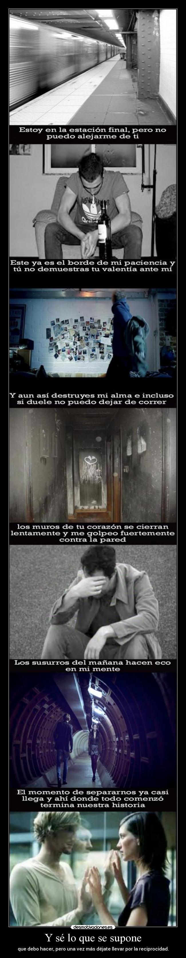 Y sé lo que se supone -