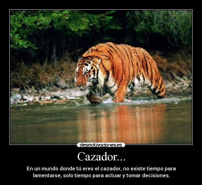 Cazador... -