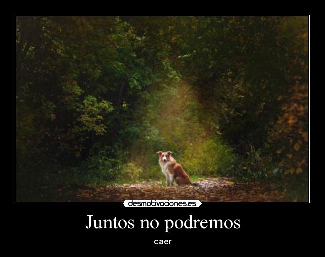 Juntos no podremos -