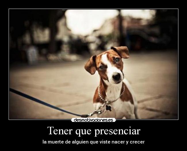 Tener que presenciar -