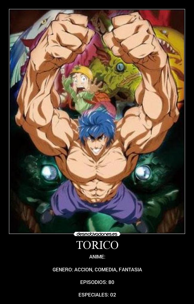 TORICO - ANIME:
GENERO: ACCION, COMEDIA, FANTASIA
EPISODIOS: 80
ESPECIALES: 02