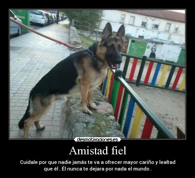 Amistad fiel - 