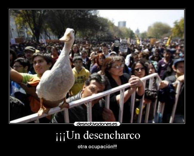 ¡¡¡Un desencharco - otra ocupación!!!