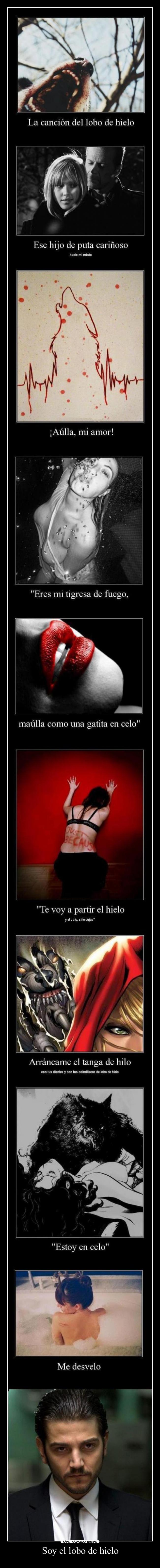 Soy el lobo de hielo - 