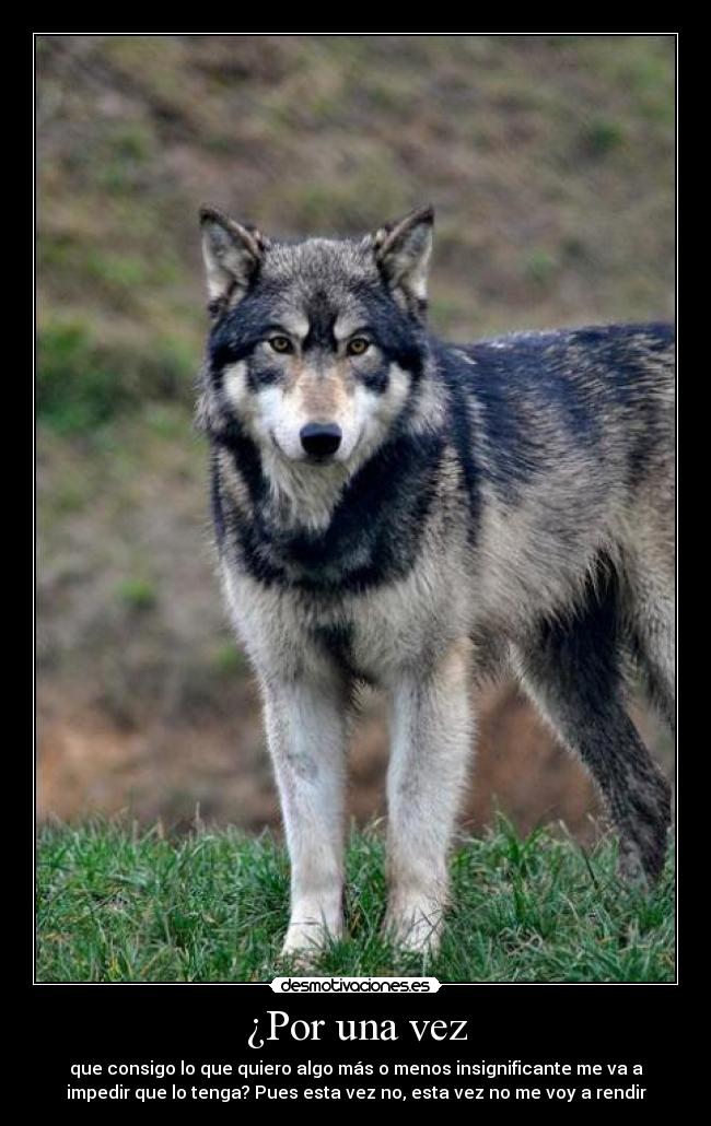 ¿Por una vez -