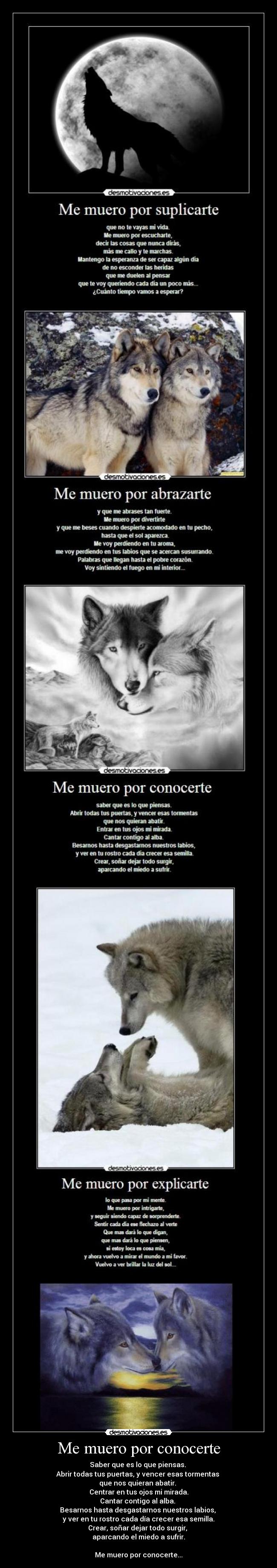 Me muero por conocerte - Saber que es lo que piensas. 
Abrir todas tus puertas, y vencer esas tormentas 
que nos quieran abatir. 
Centrar en tus ojos mi mirada.
Cantar contigo al alba. 
Besarnos hasta desgastarnos nuestros labios, 
y ver en tu rostro cada día crecer esa semilla.
Crear, soñar dejar todo surgir, 
aparcando el miedo a sufrir.

Me muero por conocerte...