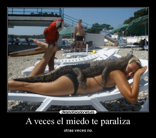 A veces el miedo te paraliza - otras veces no.